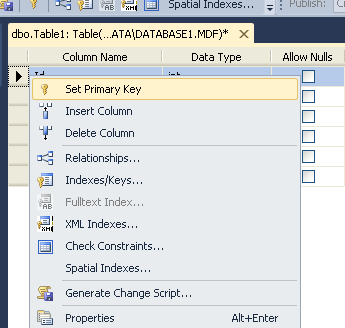 Primary Key Database