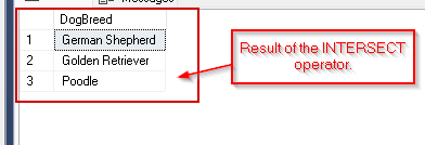 SQL INTERSECT And EXCEPT Operator