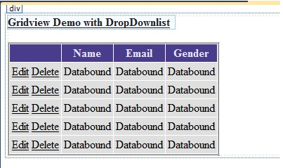 CRUD Operation Of DropDownList Inside GridView In ASP.NET