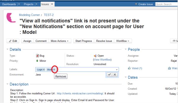 Adding and Removing a Label in an Issue in JIRA Tool in