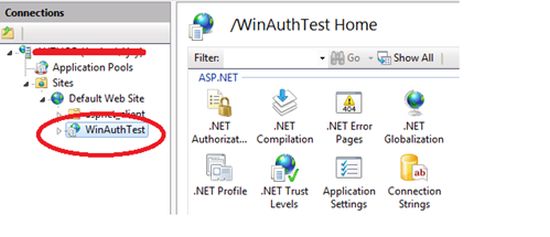 Iis basic authentication отличие от windows autentification