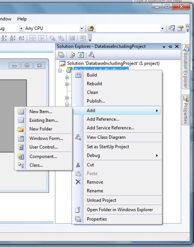 Steps to put your Database File in Windows Form Project