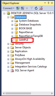 Creating Local Database Using Microsoft SQL Server