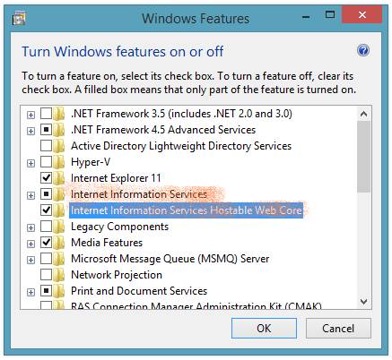 How To Install IIS On Windows 8.1