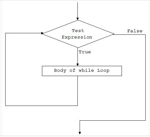 While Loop In C#