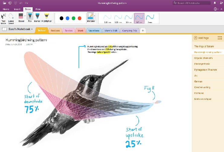 import evernote to onenote windows