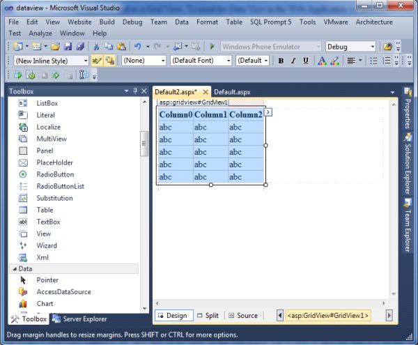 Binding to a Data View in ASP.NET