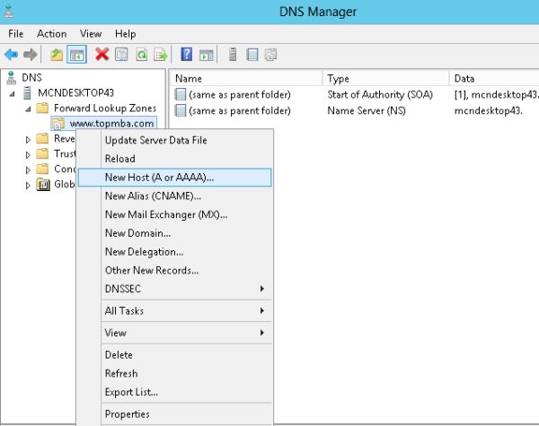 Using DNS Server to Add New Host and New Zones in Windows Server 2012.