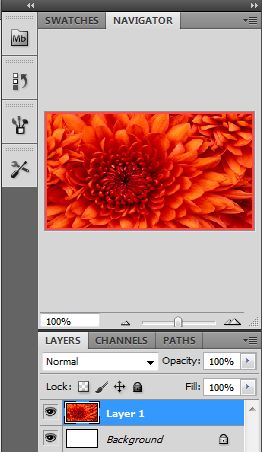 Introduction To Photoshop