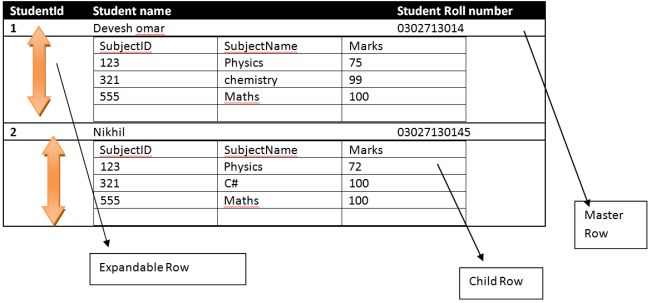 Expandable and Collapsible Rows in DataGrid in C# Winforms