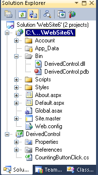 ASP.NET - Custom Controls