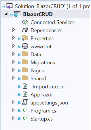 Blazor Server App CRUD With Entity Framework Core In .Net 5