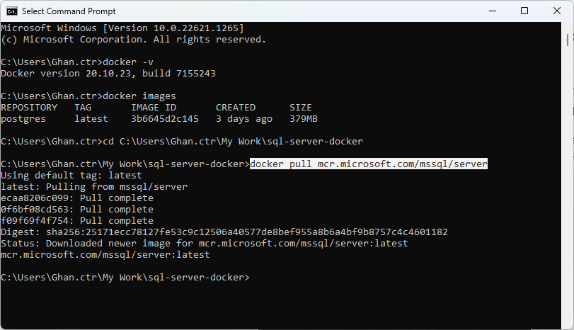 Container (3), Installing SQL Server Into Docker