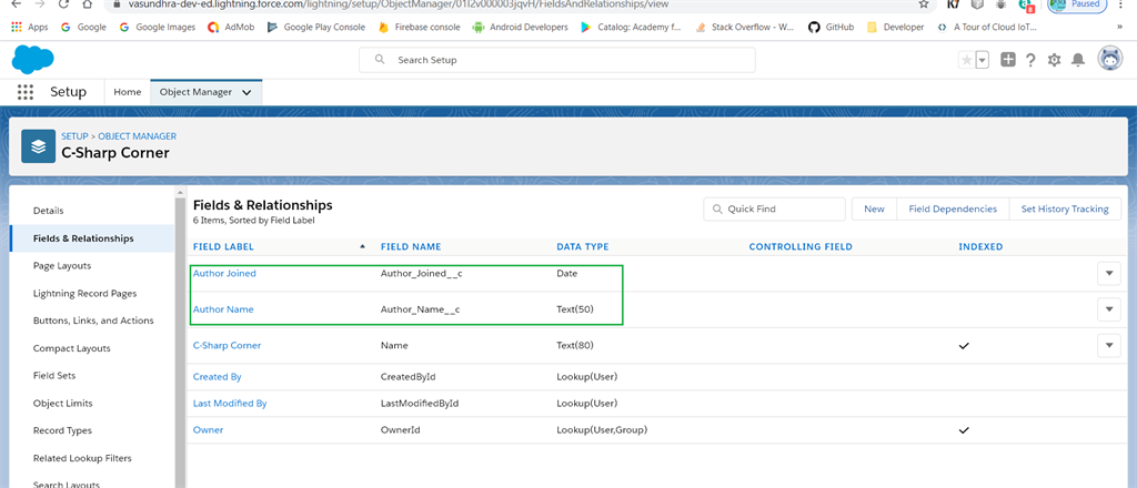 Creating Custom Fields in Salesforce Lightning Platform