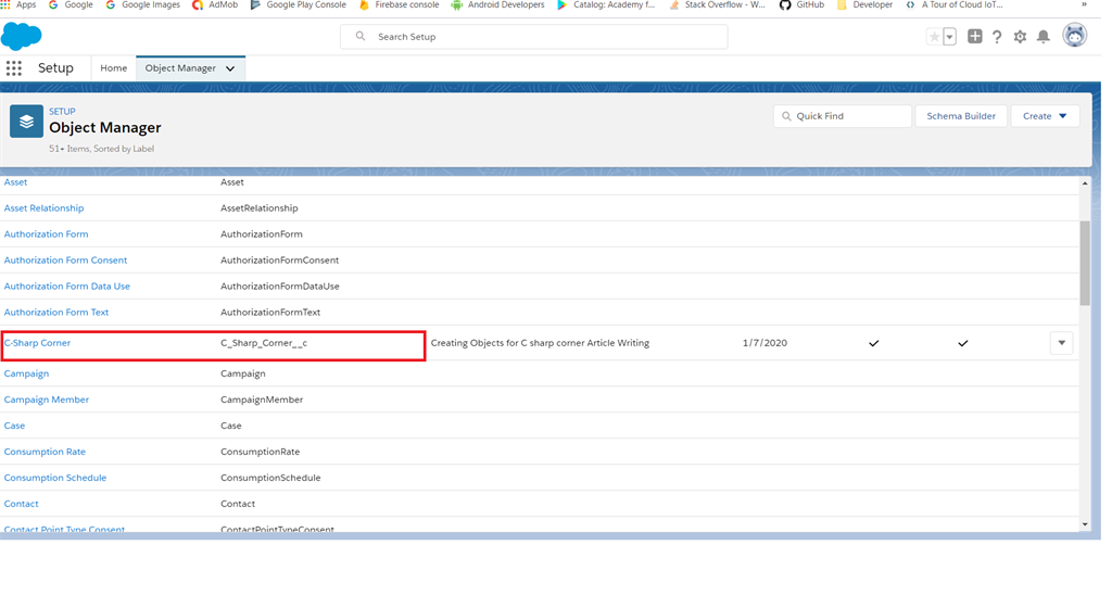 Creating Custom Fields in Salesforce Lightning Platform