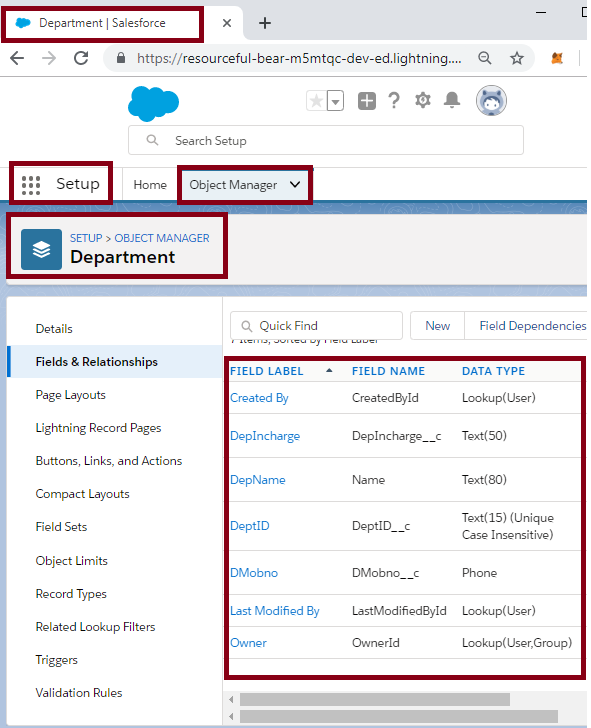 Creating A Master Detail Relationship In SalesForce