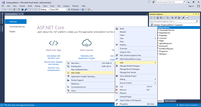 Razor Page Web Application With ASP.NET Core Using ADO.NET