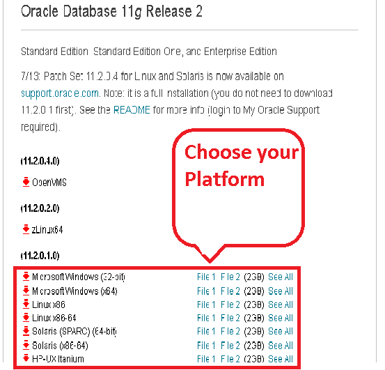 Step By Step Installation Of Oracle 11g On Windows 7 (64bit)