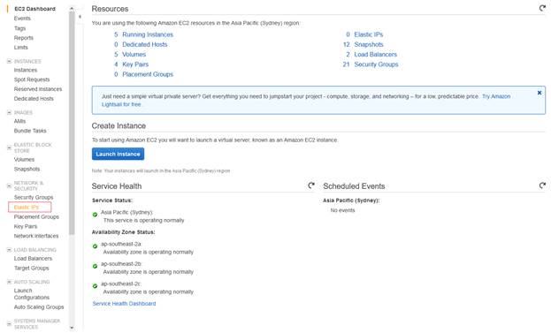 Using Elastic IPs In AWS