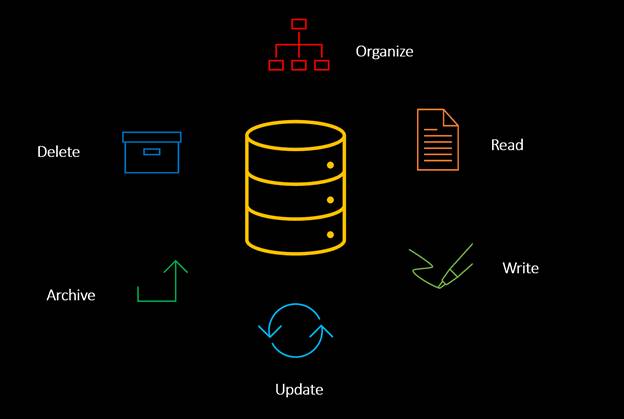 What Is Database Management