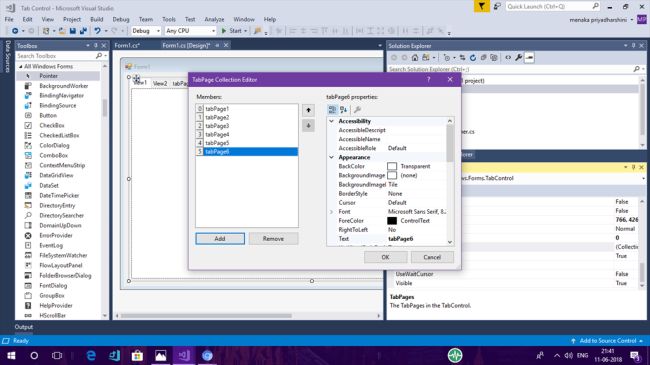 Working With Tab Control In Windows Forms Using Visual Studio 2017